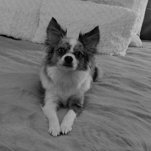 Meet your Posher, Cutiepitootie